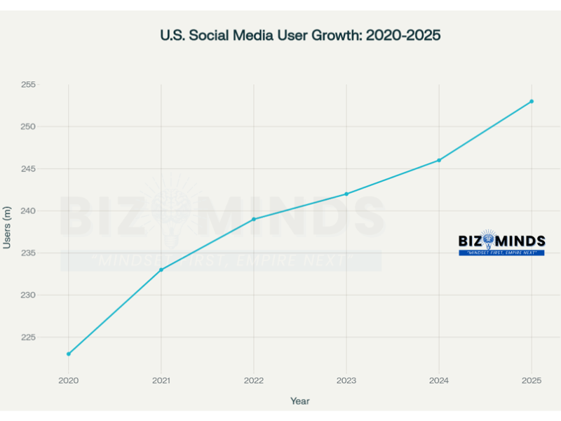 USA social media user growth