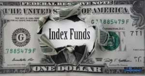 index fund investment