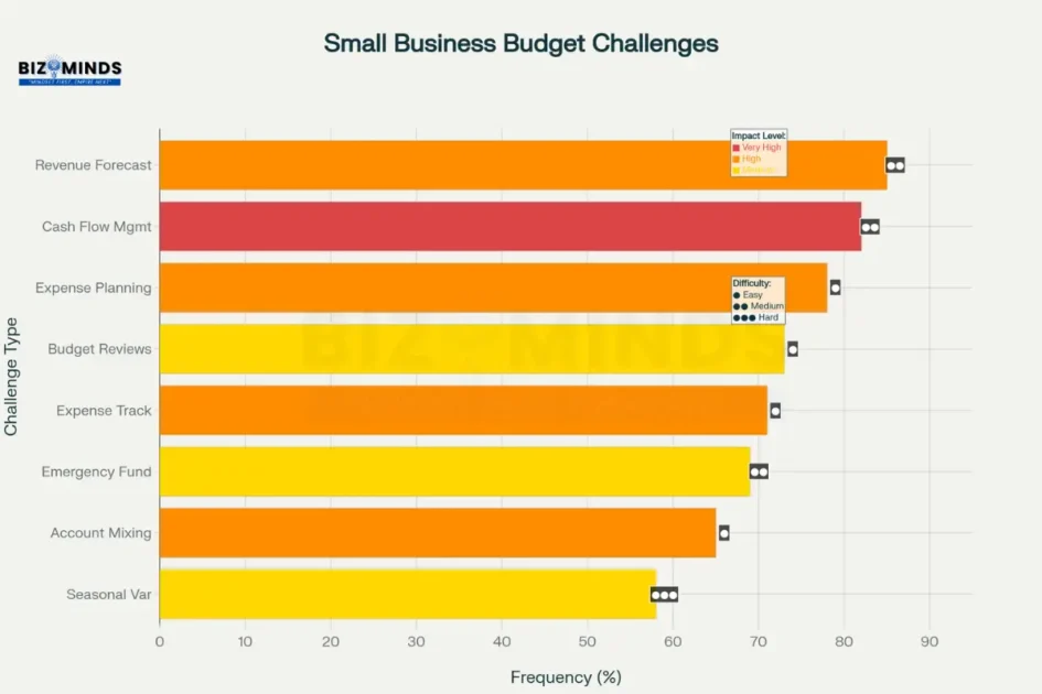 Small Business Budgeting Challenges and Solutions