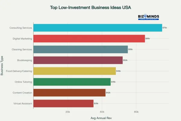 Top Low-Investment Business Ideas USA