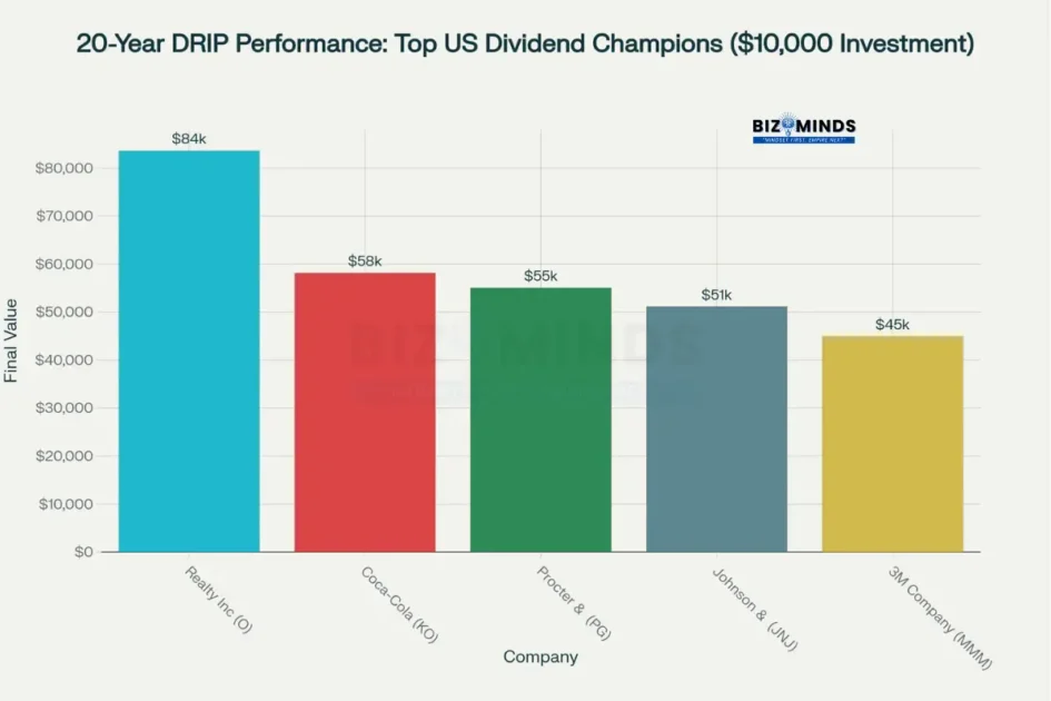 20-Year Dividend Reinvestment Plan Performance