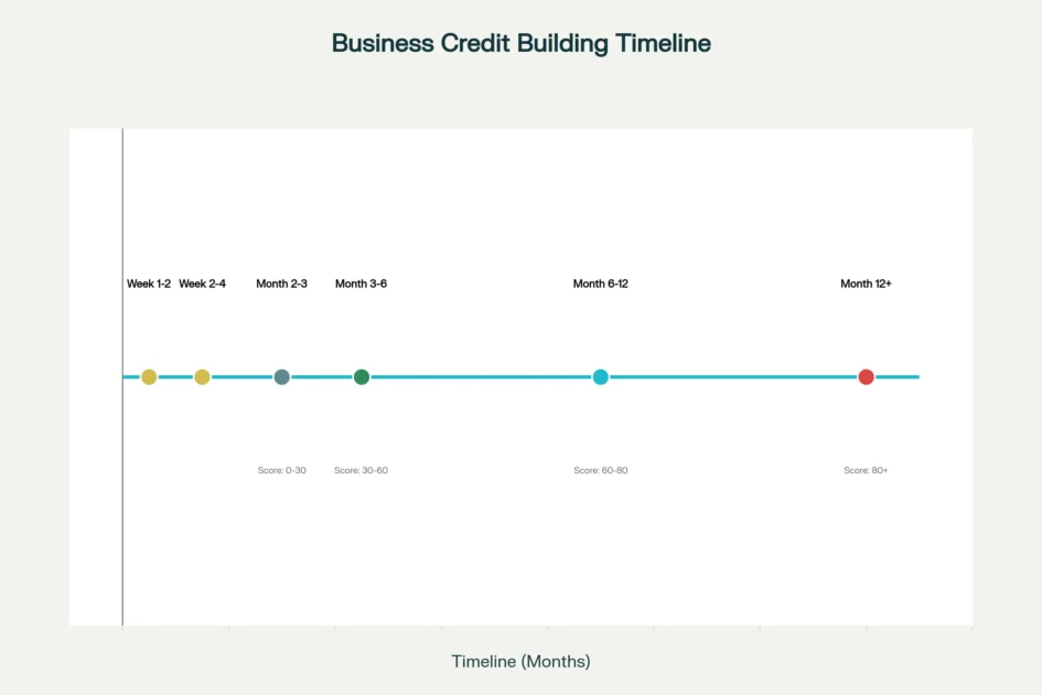 Business Credit Building Tips Timeline